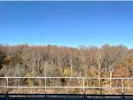 One of the tall trestles 